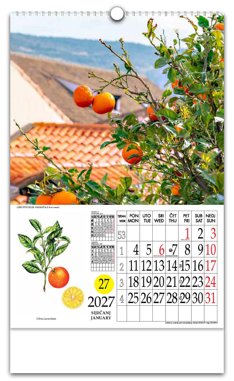 Jedinstveni promotivni zidni kalendar s rotacijskim krugom Ljekovito bilje