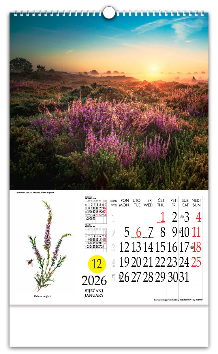 Jedinstveni promotivni zidni kalendar s rotacijskim krugom Ljekovito bilje