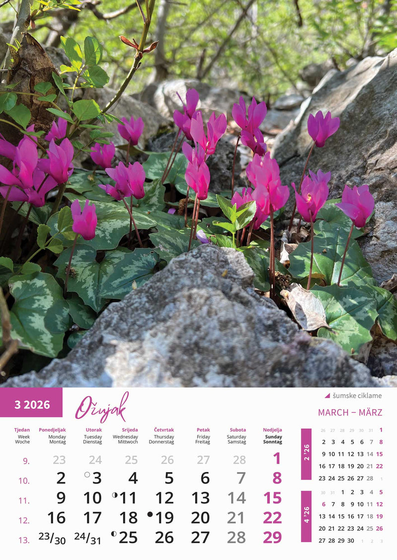 Promotivni zidni kalendar Priroda