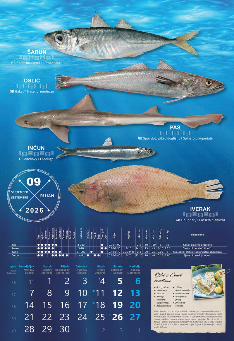 Promotivni zidni kalendar S ribarnice