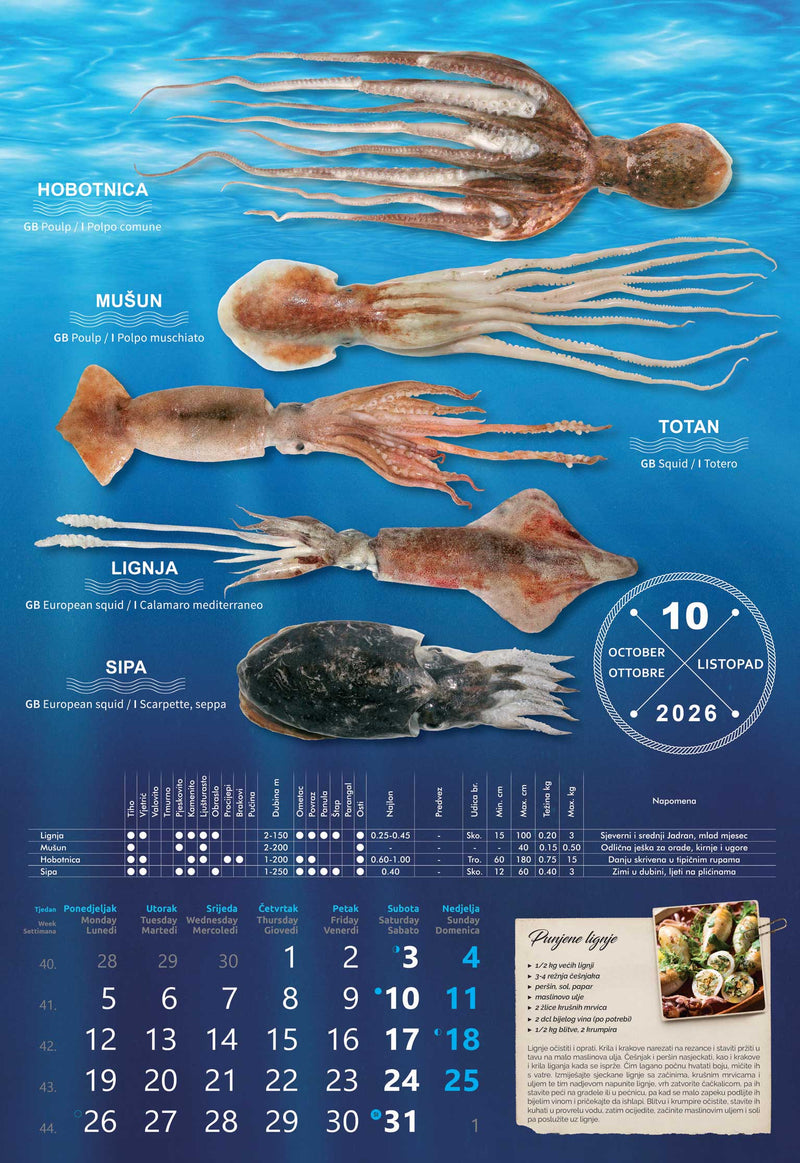 Promotivni zidni kalendar S ribarnice