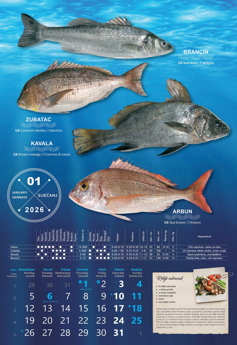 Promotivni zidni kalendar S ribarnice