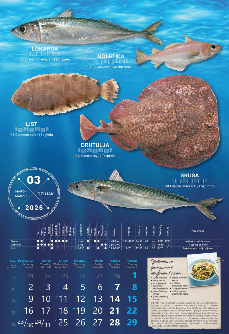 Promotivni zidni kalendar S ribarnice