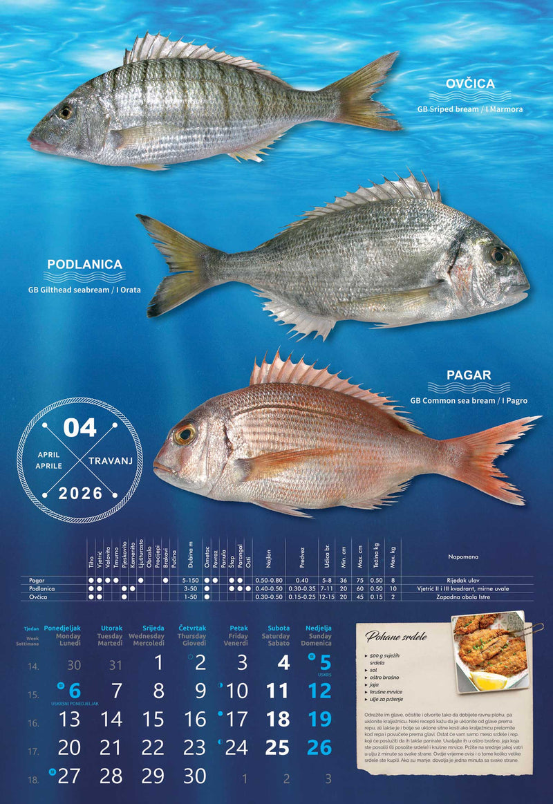 Promotivni zidni kalendar S ribarnice