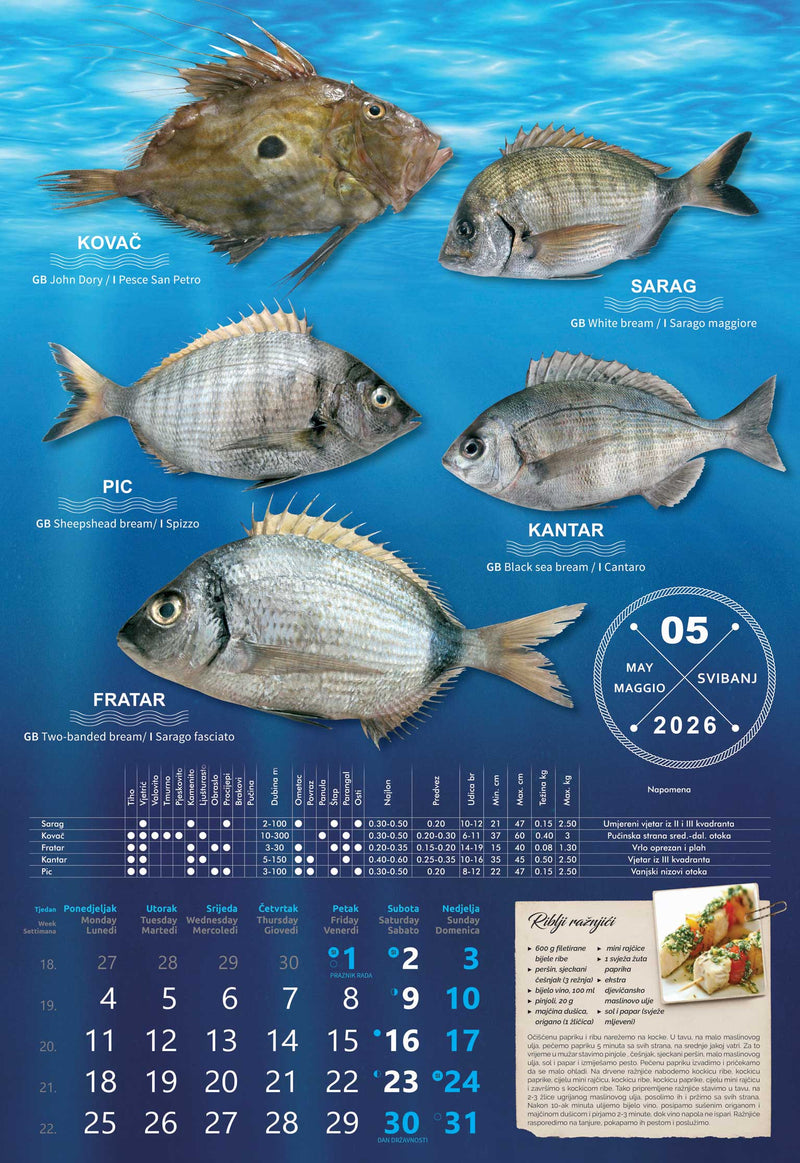 Promotivni zidni kalendar S ribarnice