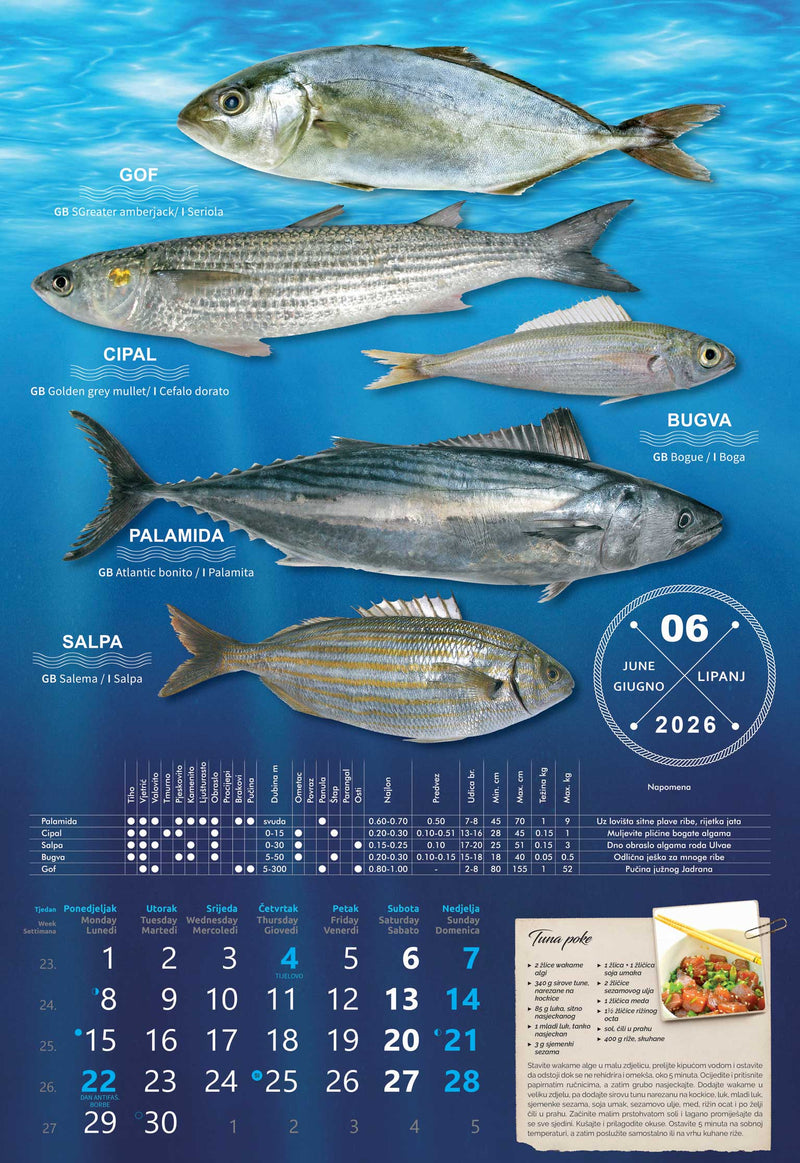 Promotivni zidni kalendar S ribarnice