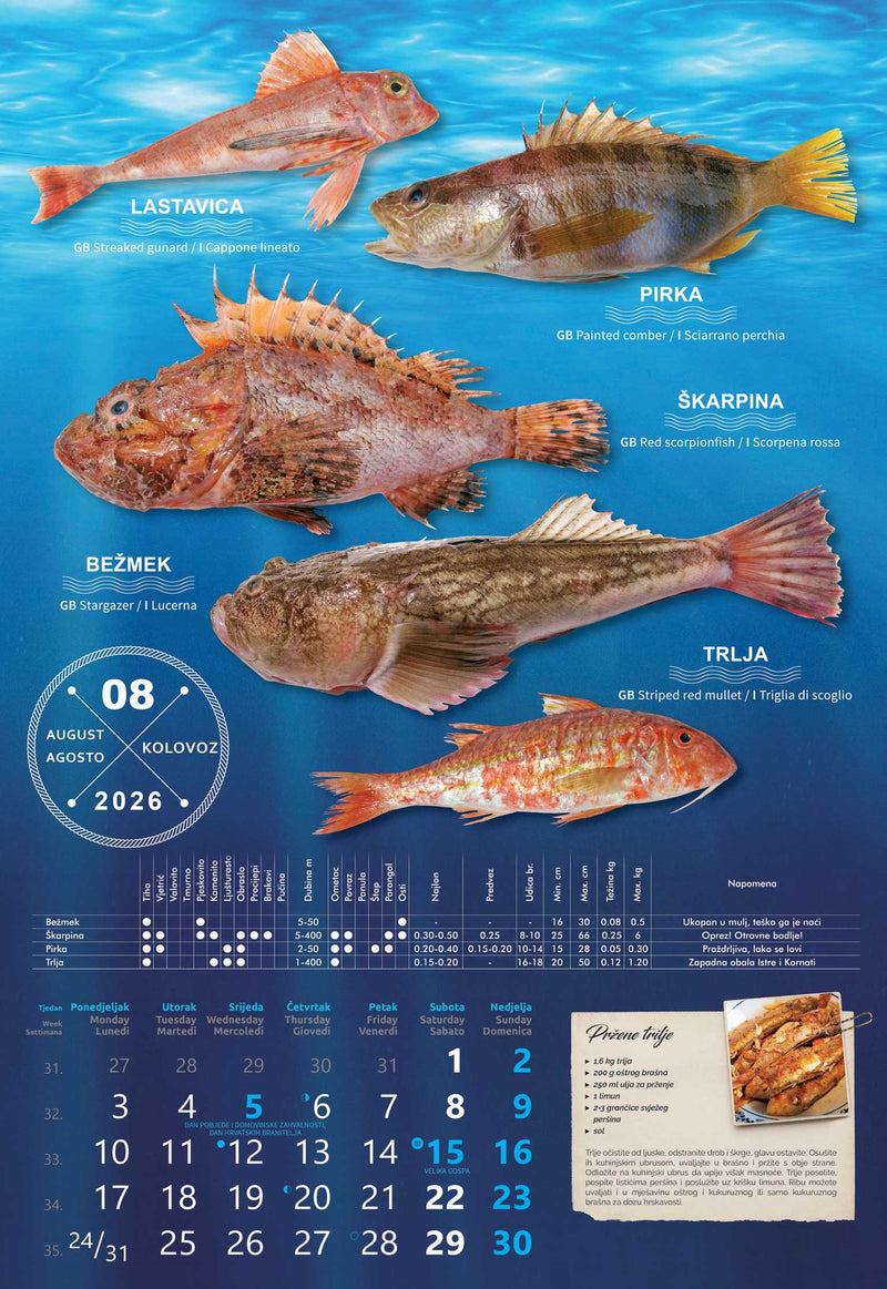 Promotivni zidni kalendar S ribarnice