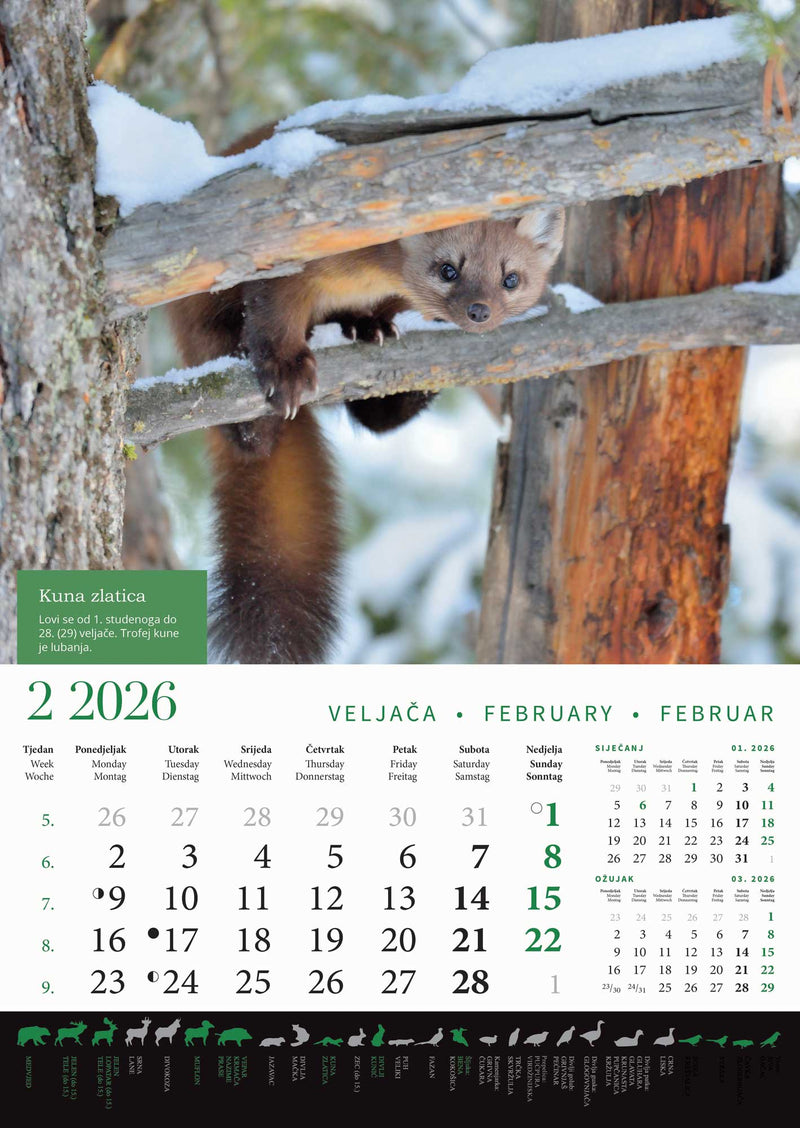 Promotivni zidni kalendar s rokovima lova na divlje životinje