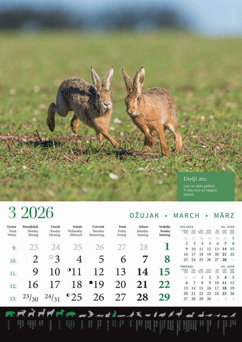 Promotivni zidni kalendar s rokovima lova na divlje životinje