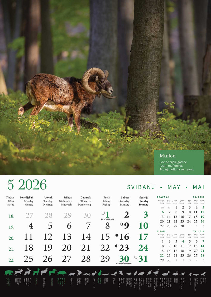 Promotivni zidni kalendar s rokovima lova na divlje životinje