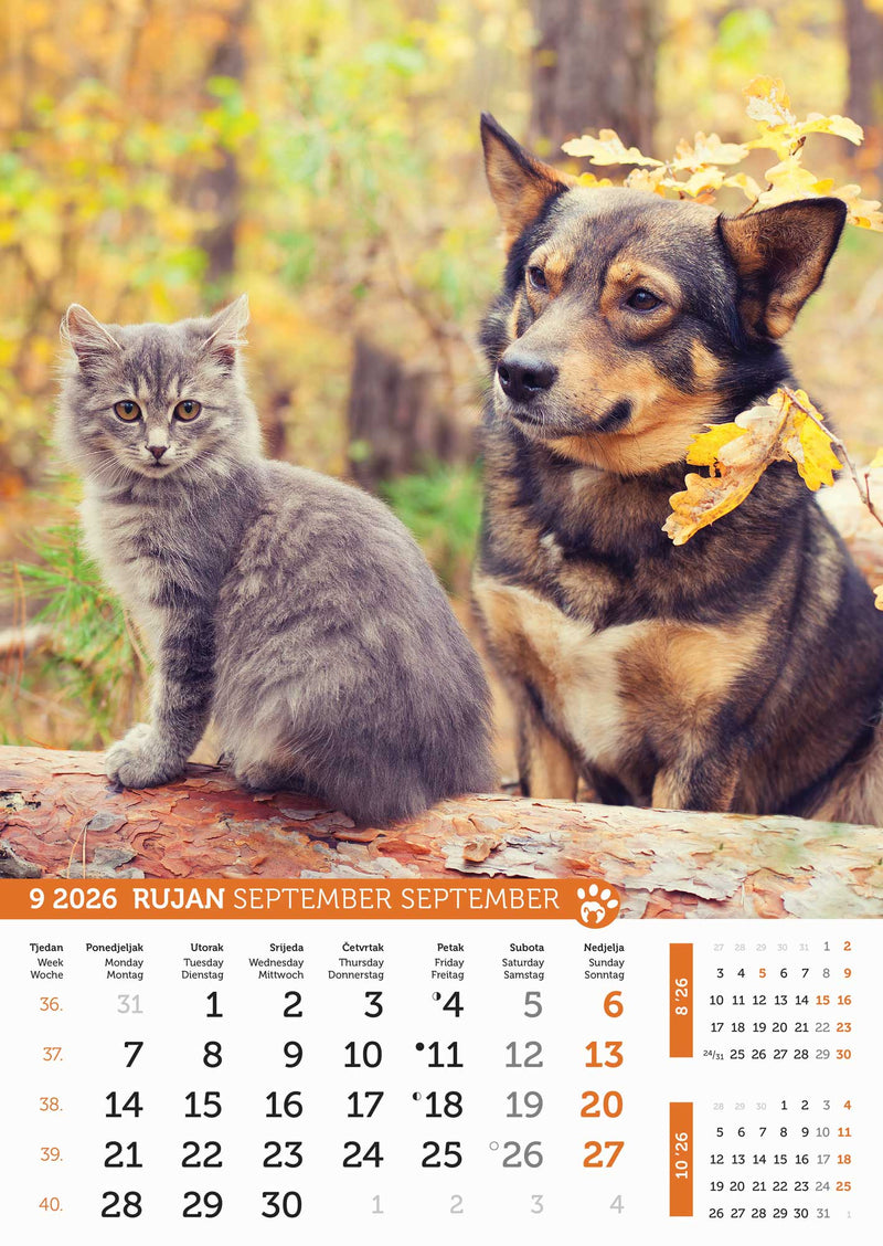 Promotivni zidni kalendar Psi i mačke