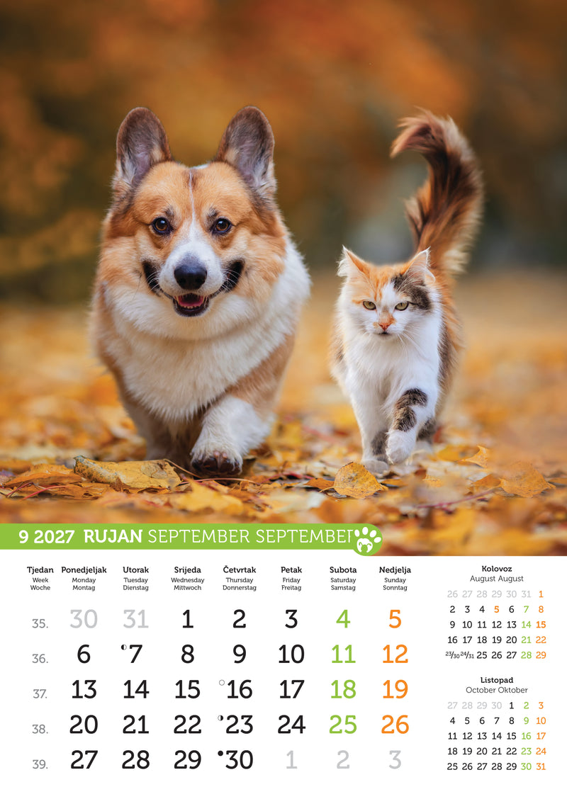 Promotivni zidni kalendar Psi i mačke