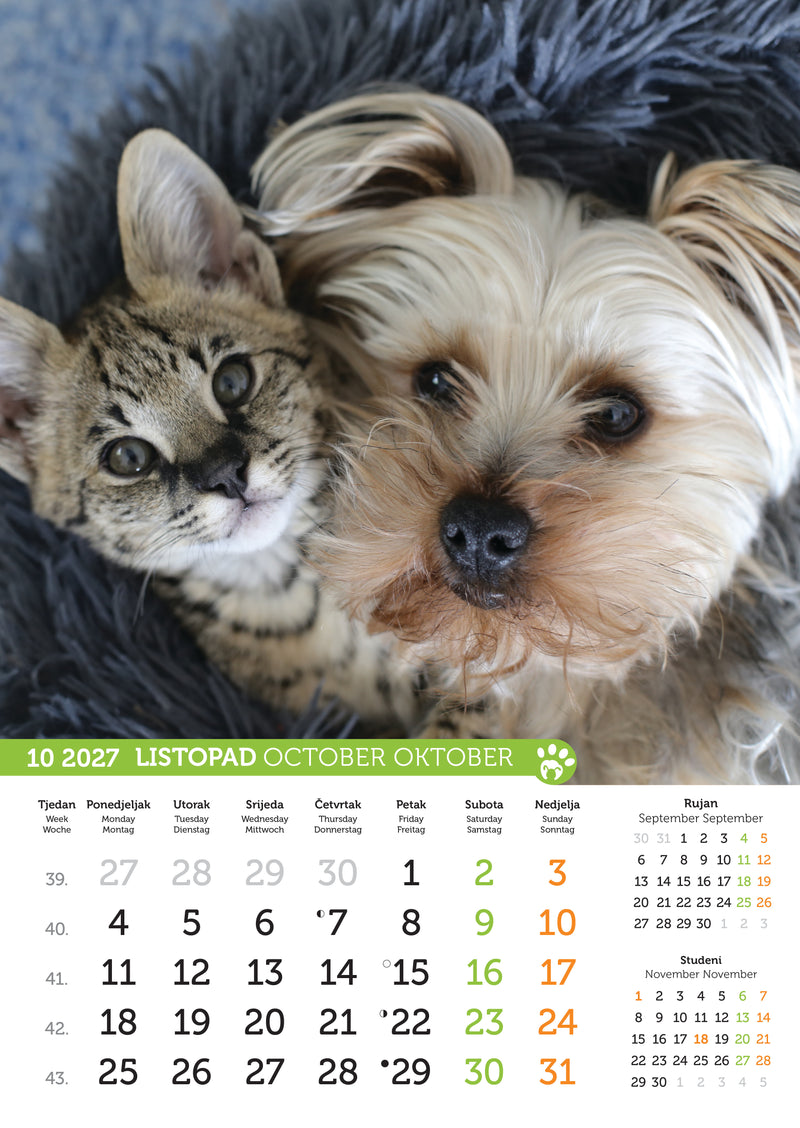 Promotivni zidni kalendar Psi i mačke