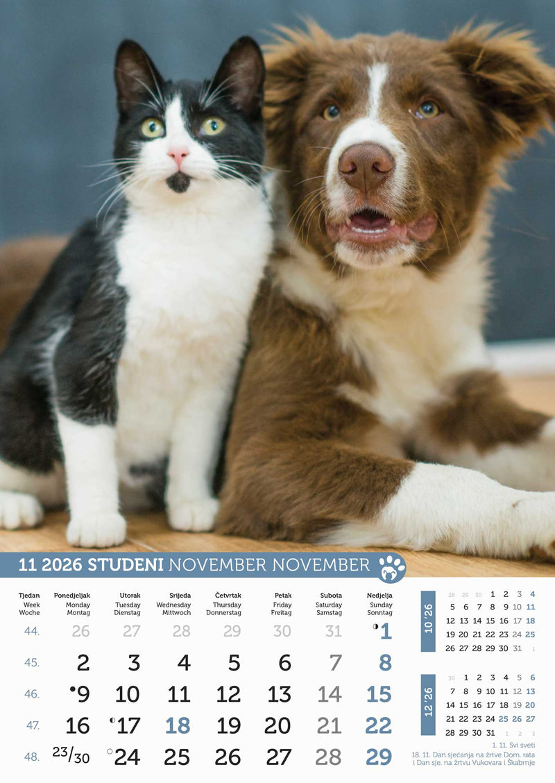 Promotivni zidni kalendar Psi i mačke