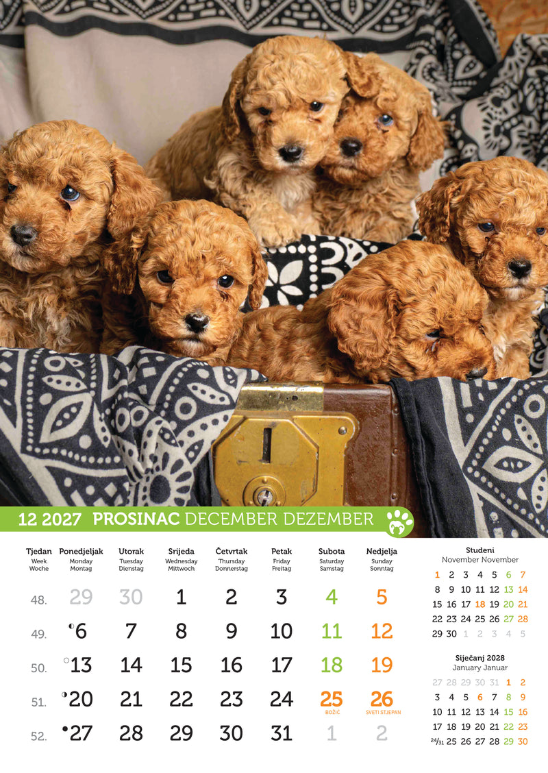 Promotivni zidni kalendar Psi i mačke