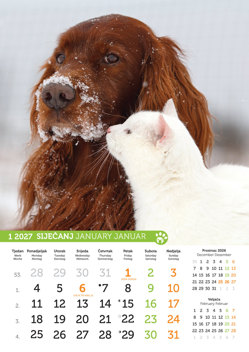 Promotivni zidni kalendar Psi i mačke