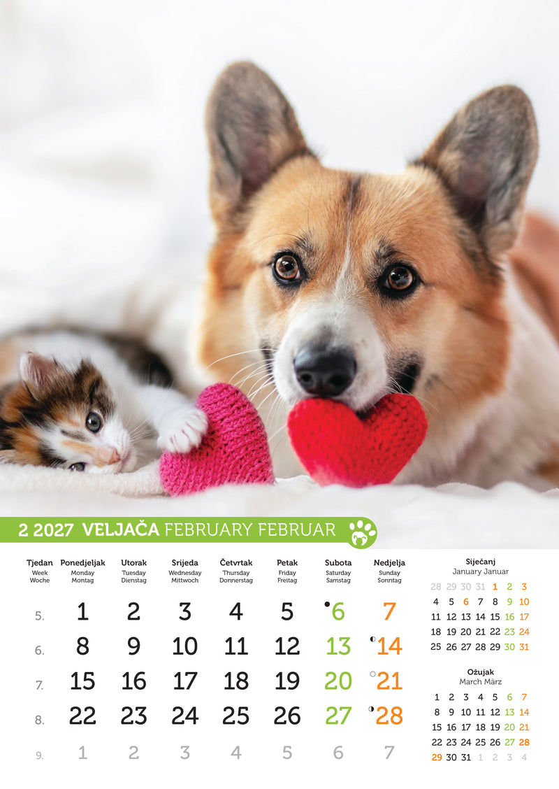 Promotivni zidni kalendar Psi i mačke