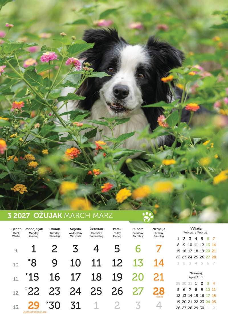 Promotivni zidni kalendar Psi i mačke