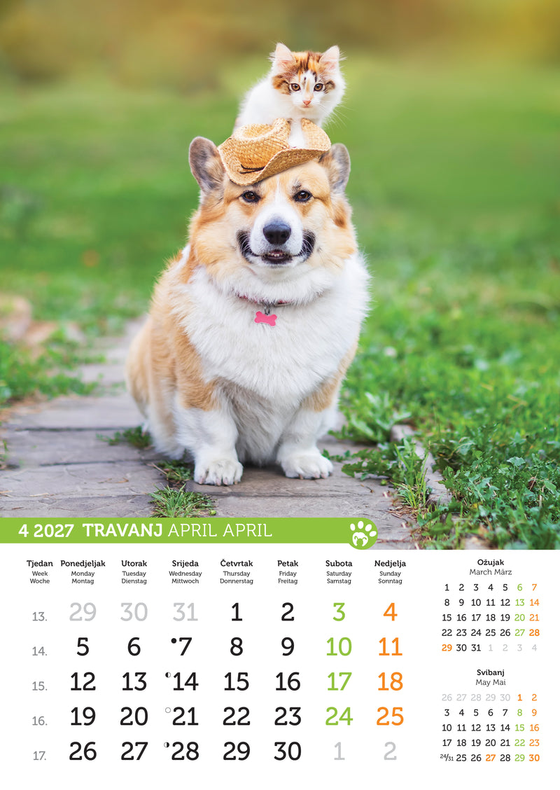Promotivni zidni kalendar Psi i mačke