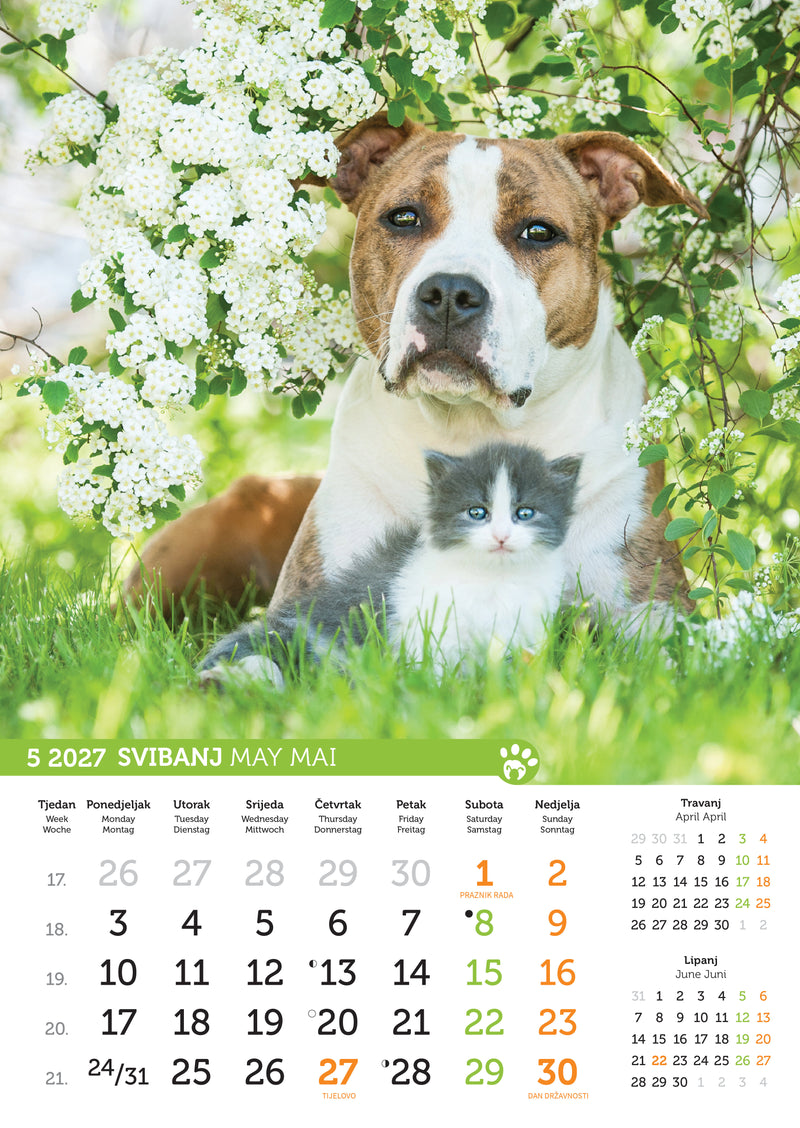 Promotivni zidni kalendar Psi i mačke