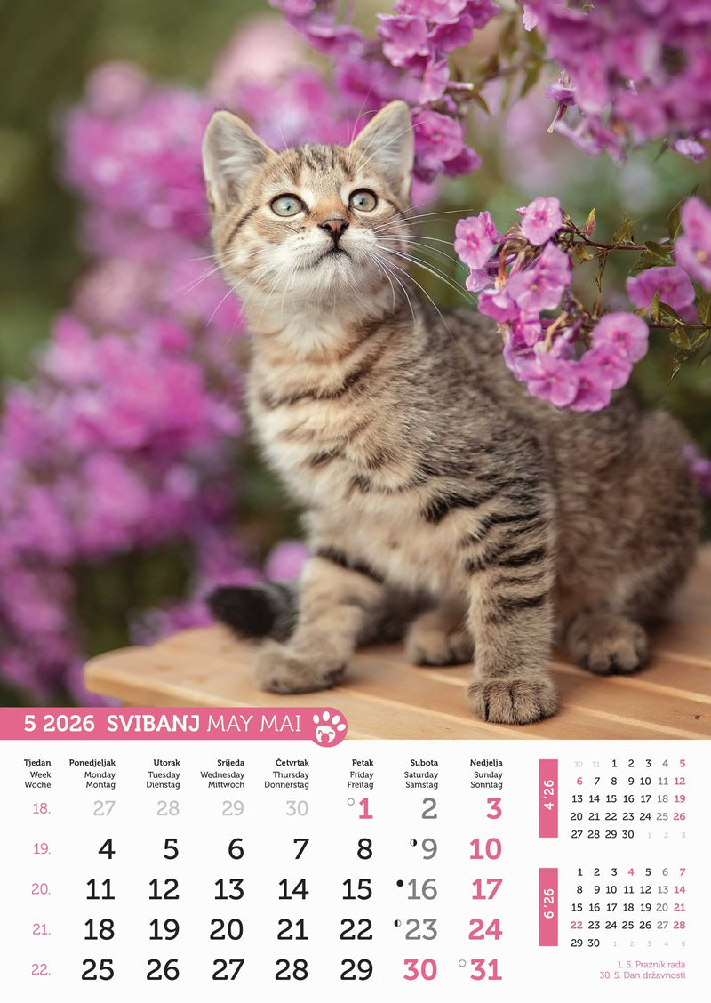Promotivni zidni kalendar Psi i mačke