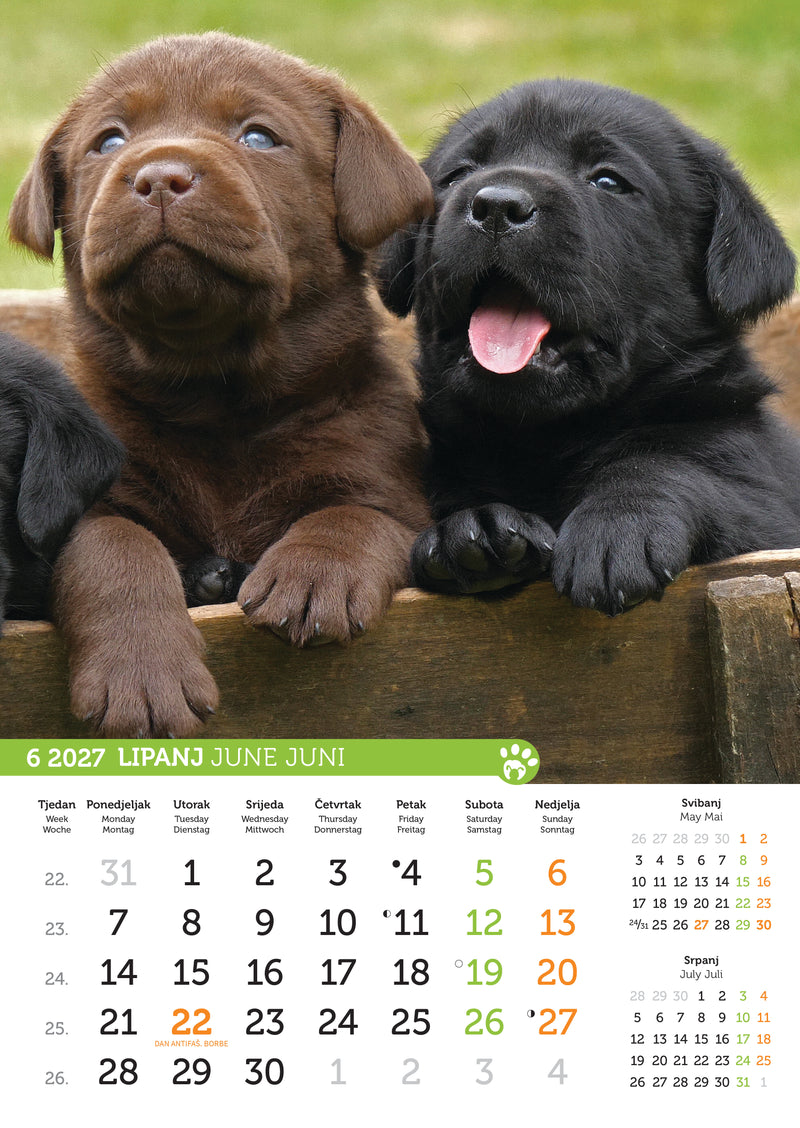 Promotivni zidni kalendar Psi i mačke