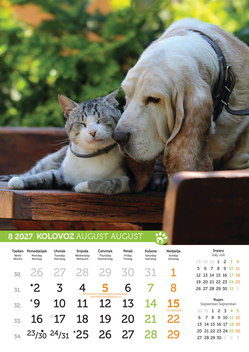 Promotivni zidni kalendar Psi i mačke