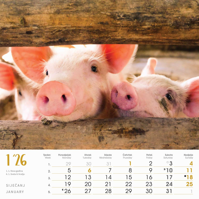 Promotivni zidni kalendar Seoska idila