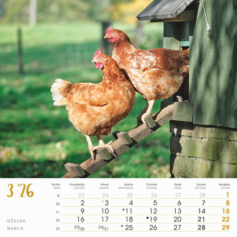 Promotivni zidni kalendar Seoska idila