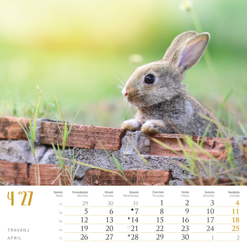 Promotivni zidni kalendar Seoska idila