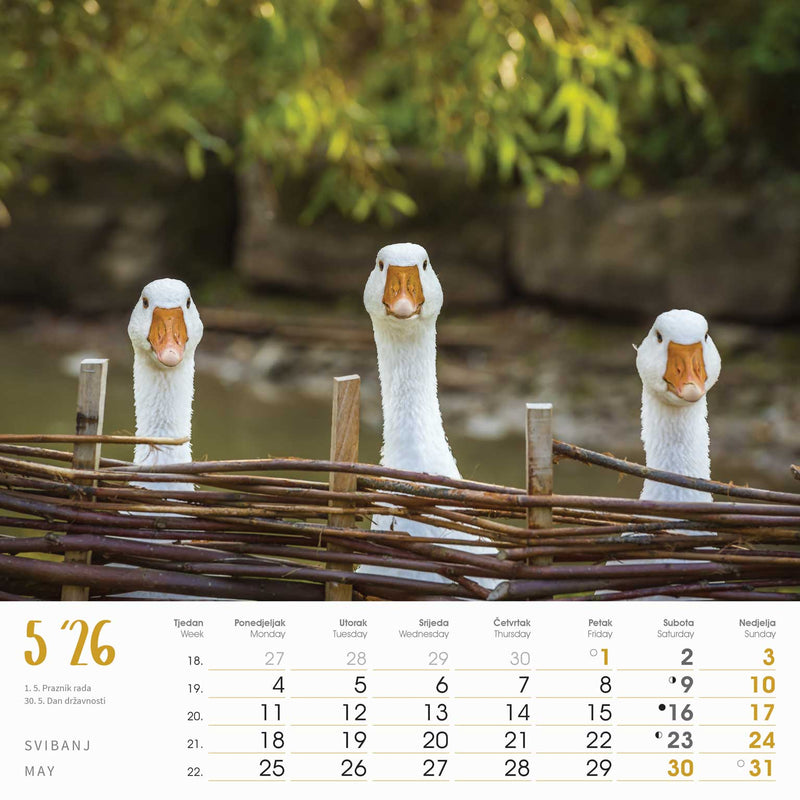 Promotivni zidni kalendar Seoska idila