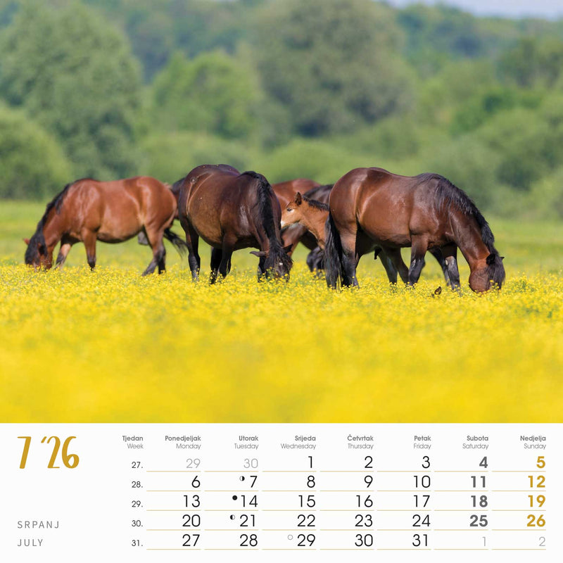 Promotivni zidni kalendar Seoska idila