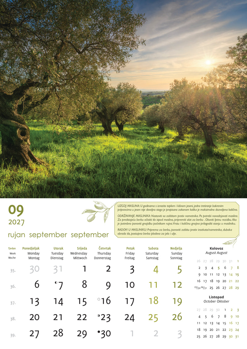 Promotivni zidni kalendar Masline