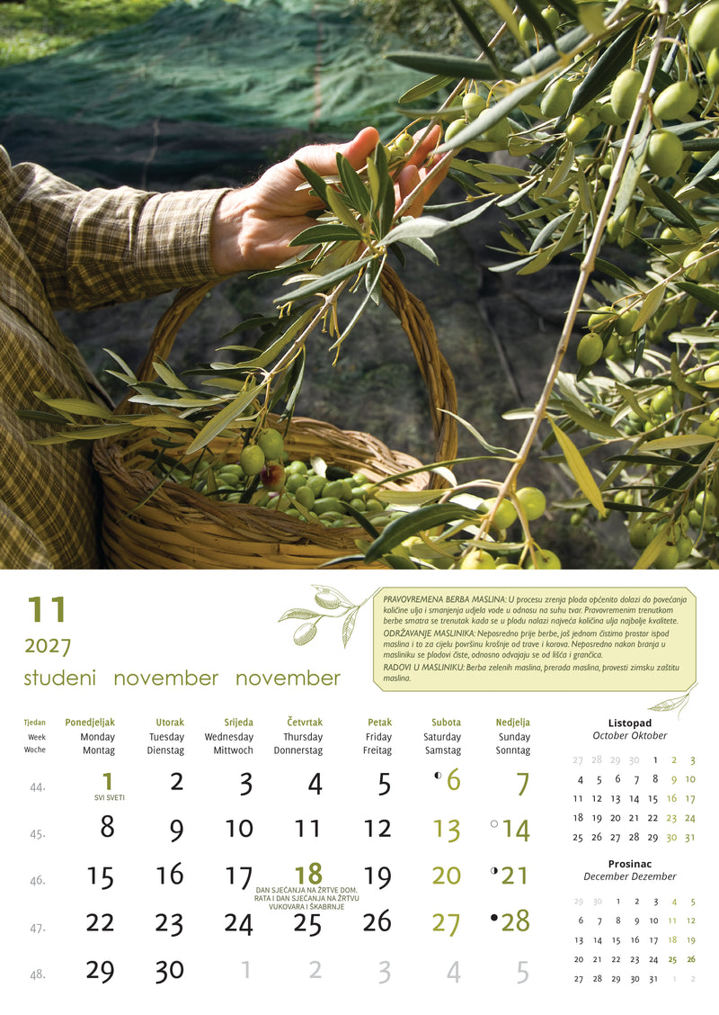 Promotivni zidni kalendar Masline
