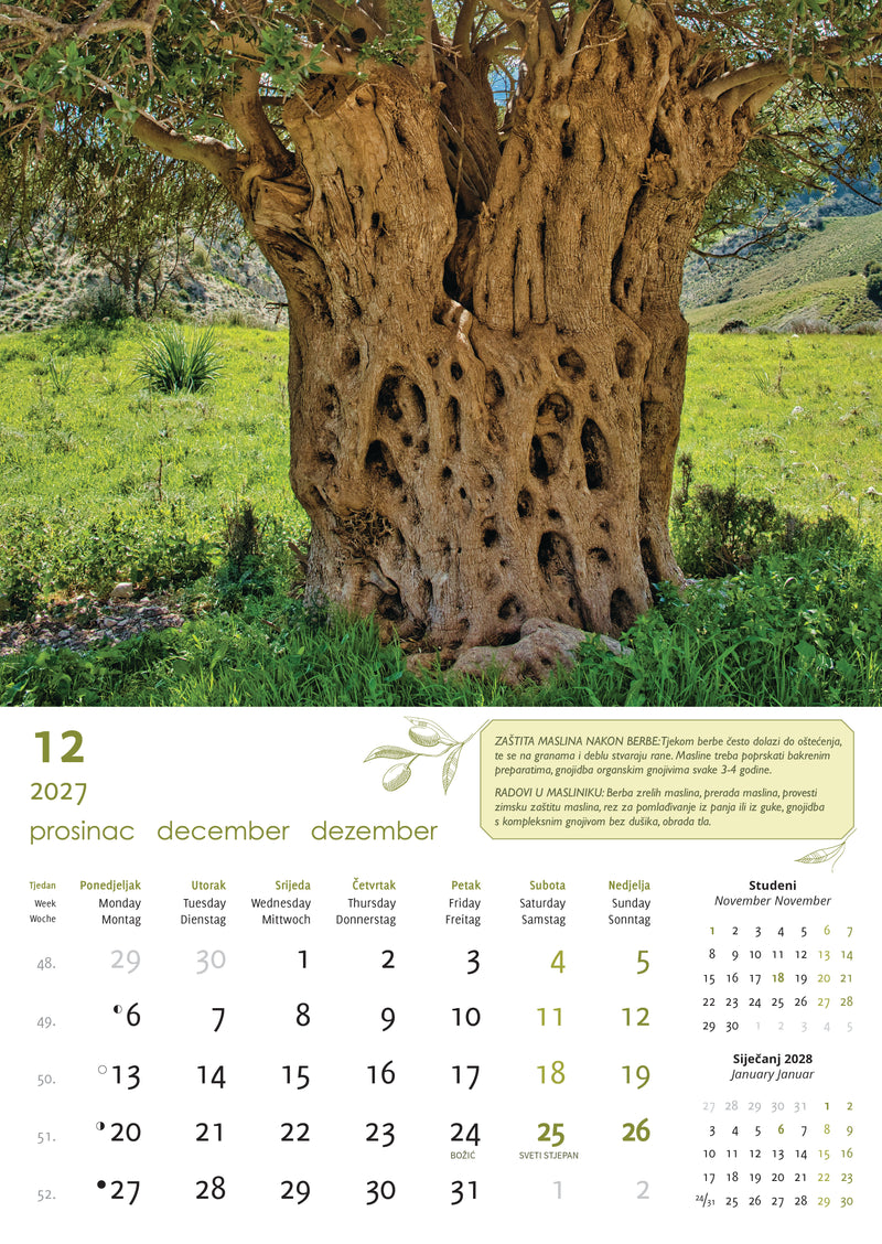Promotivni zidni kalendar Masline