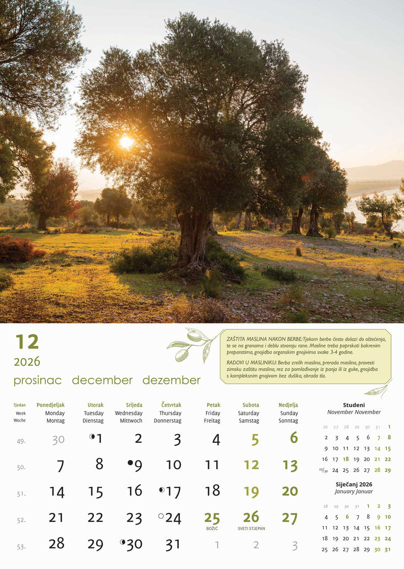 Promotivni zidni kalendar Masline