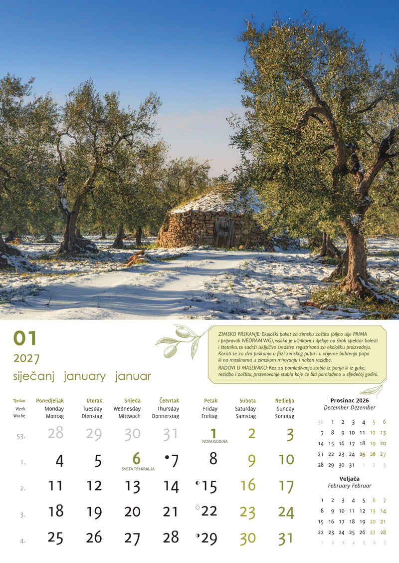 Promotivni zidni kalendar Masline