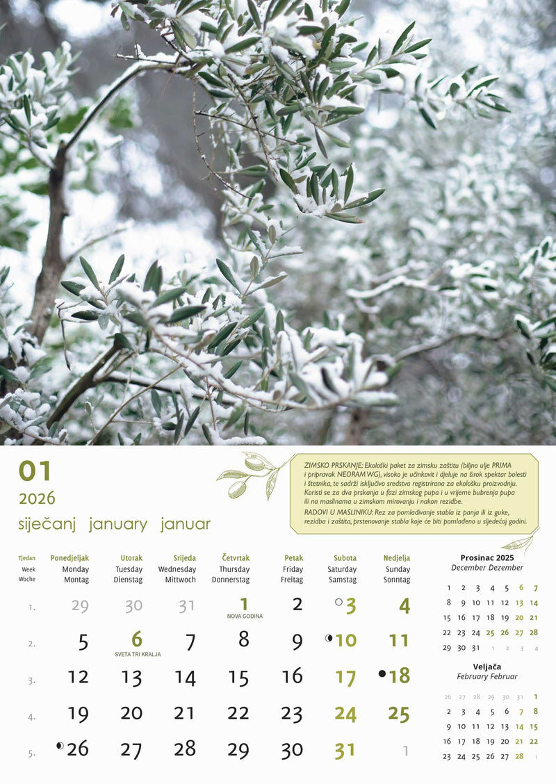 Promotivni zidni kalendar Masline