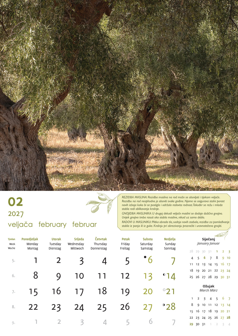 Promotivni zidni kalendar Masline
