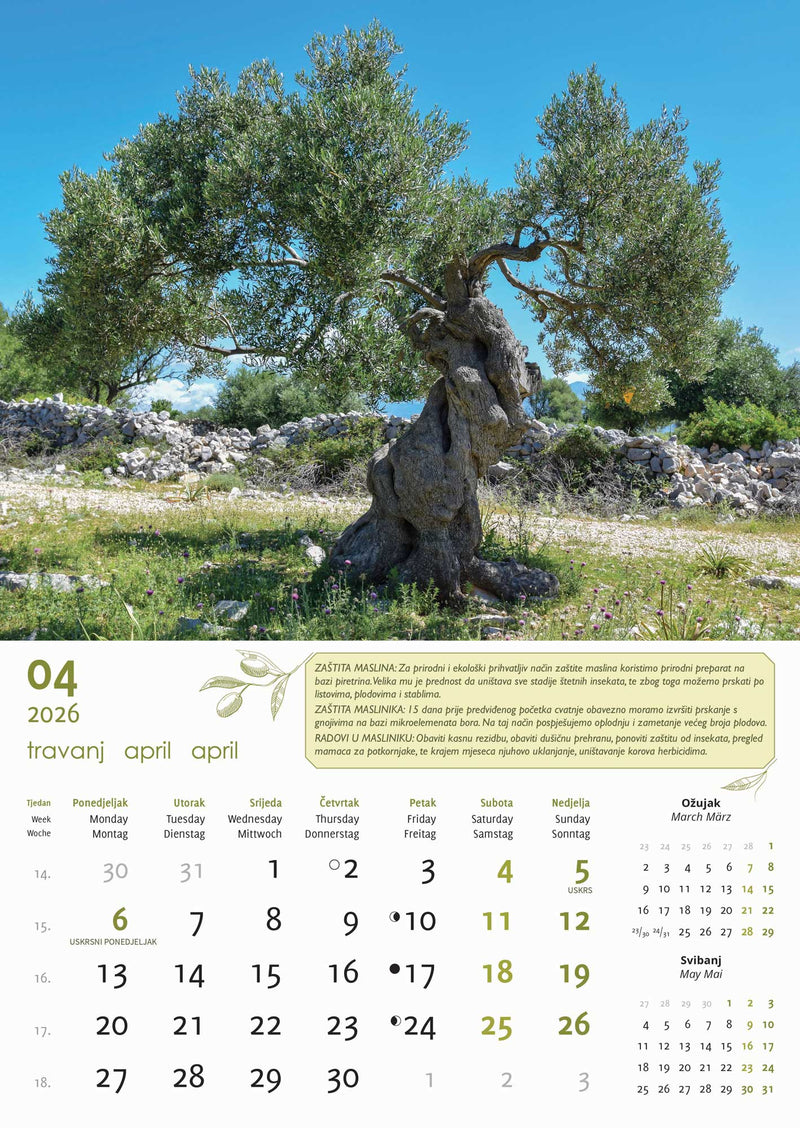 Promotivni zidni kalendar Masline
