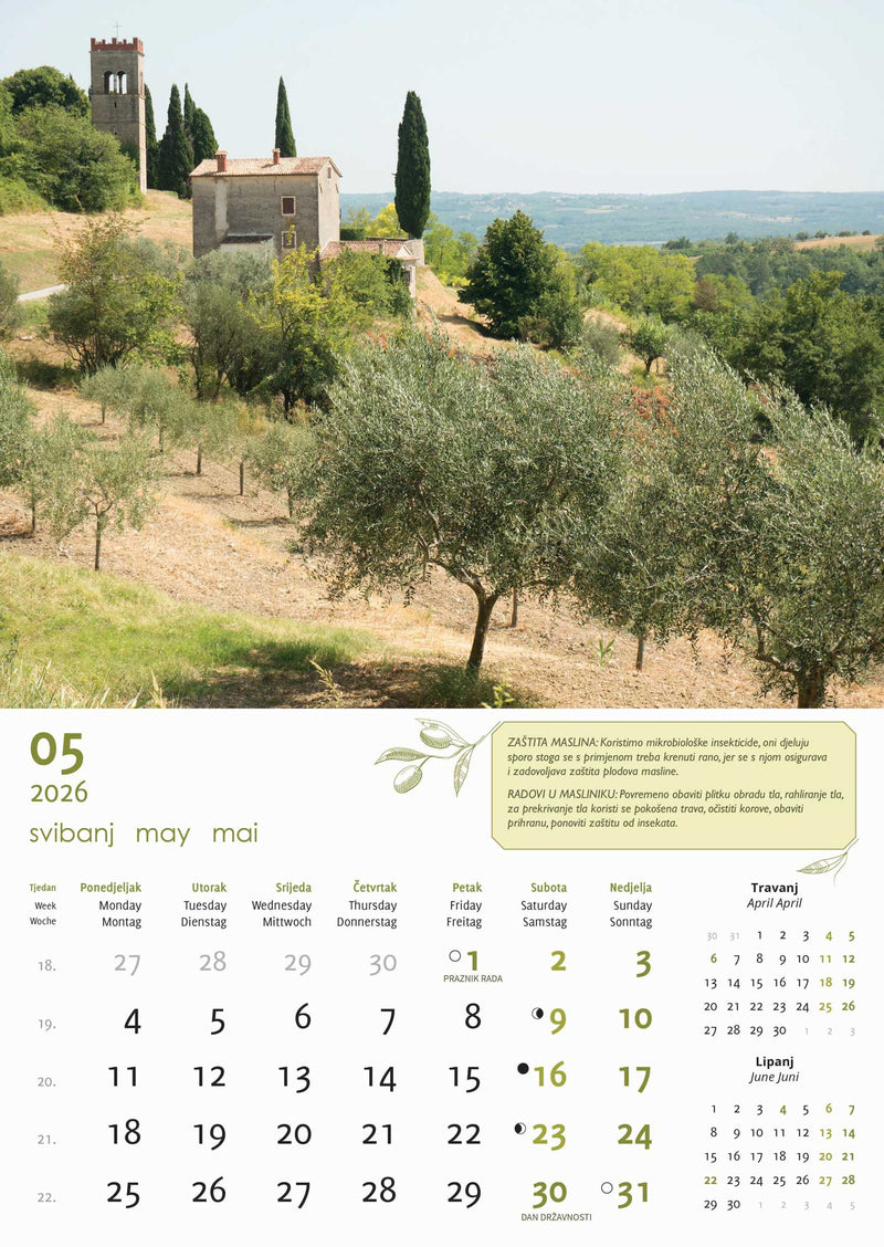 Promotivni zidni kalendar Masline
