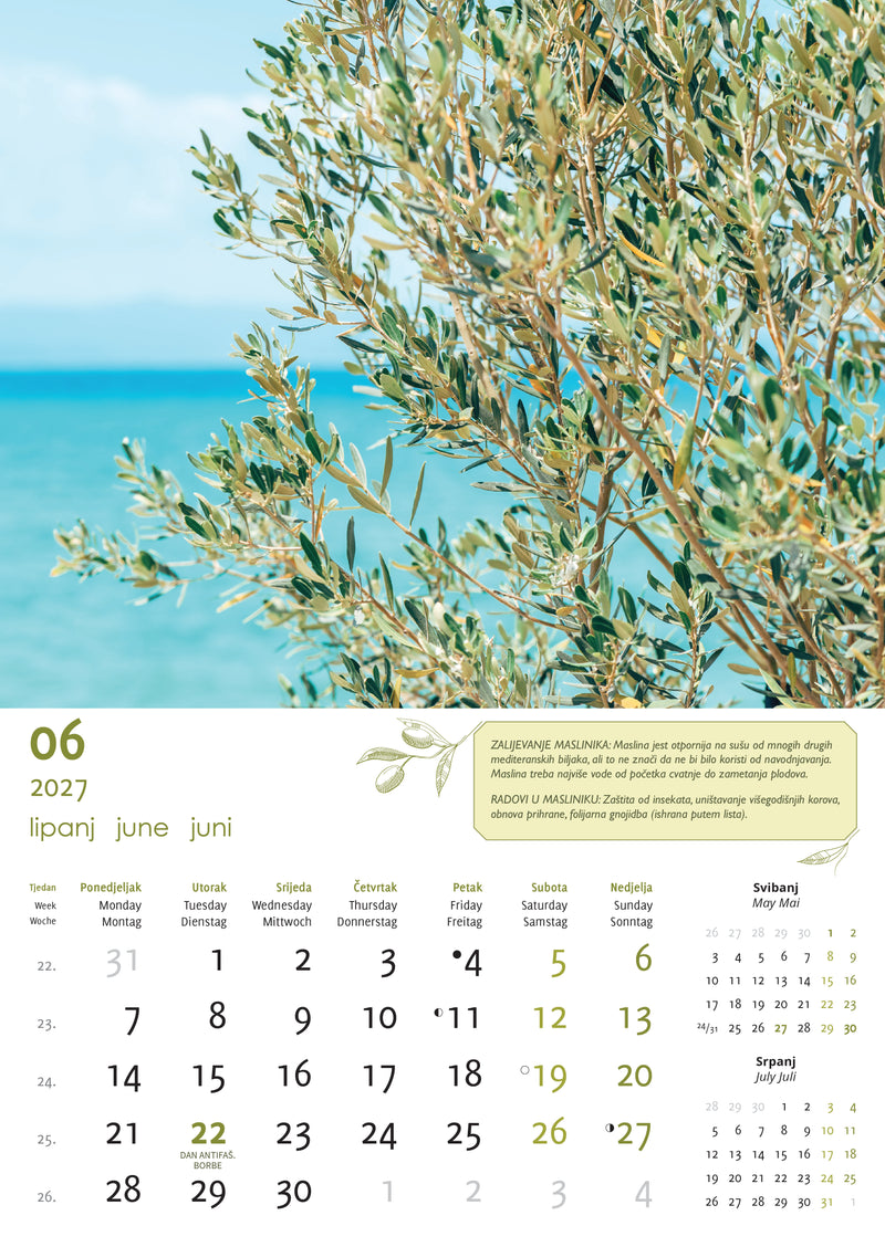 Promotivni zidni kalendar Masline