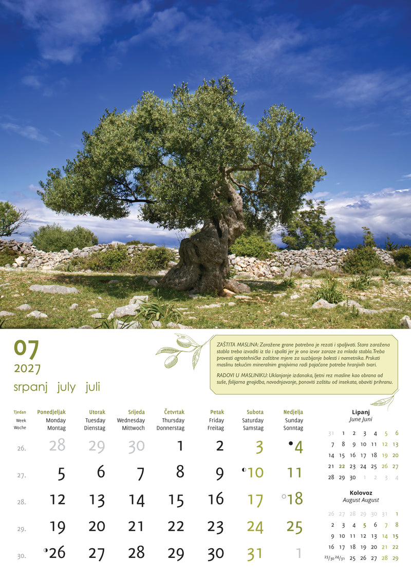 Promotivni zidni kalendar Masline