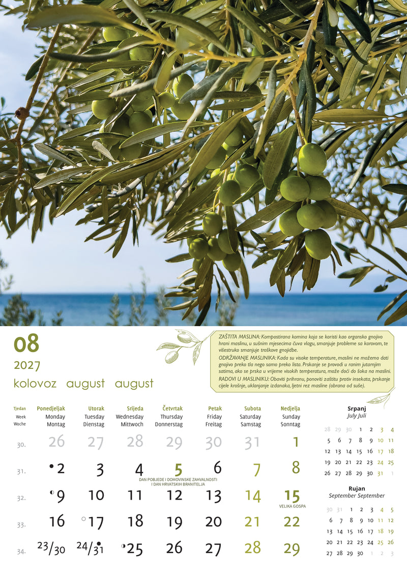 Promotivni zidni kalendar Masline