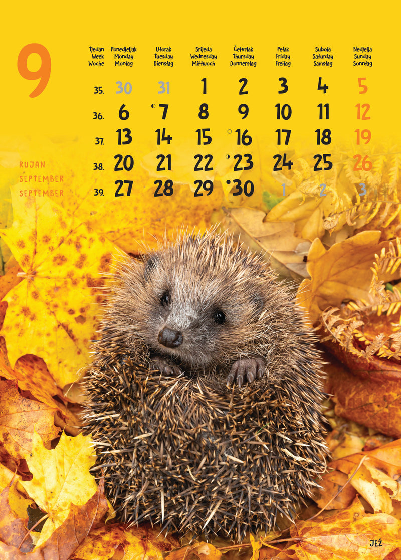 Promotivni zidni kalendar Životinje