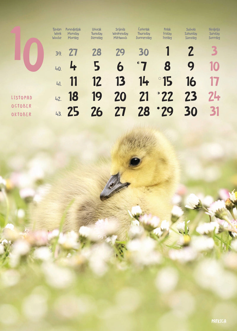 Promotivni zidni kalendar Životinje