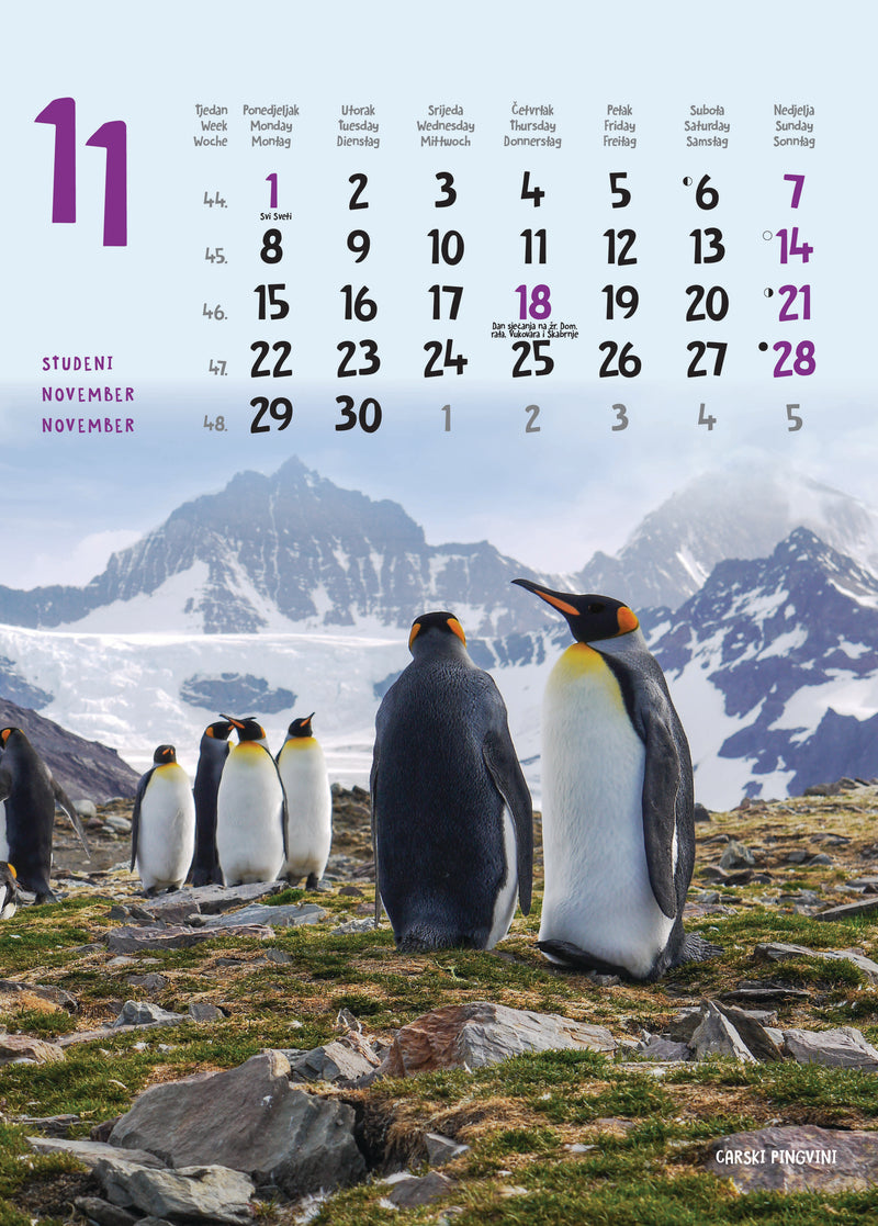 Promotivni zidni kalendar Životinje