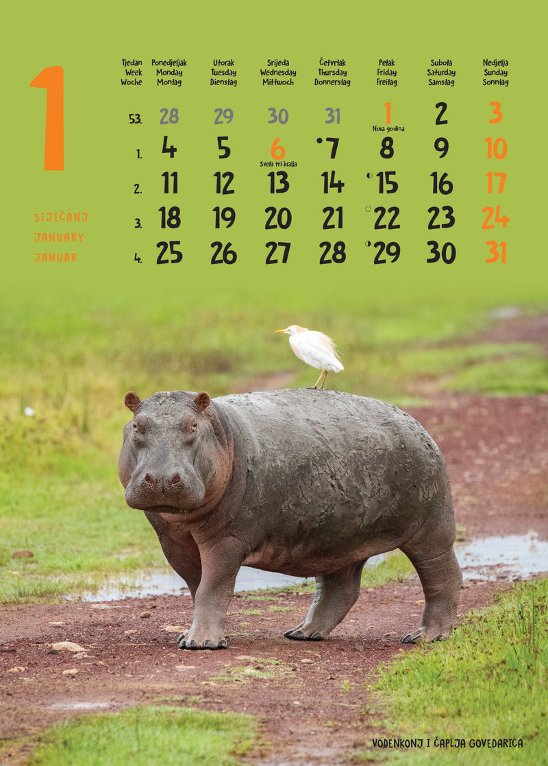 Promotivni zidni kalendar Životinje