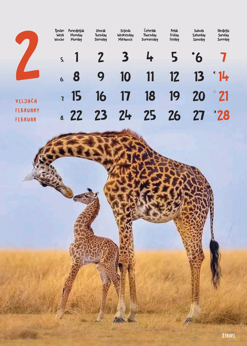 Promotivni zidni kalendar Životinje
