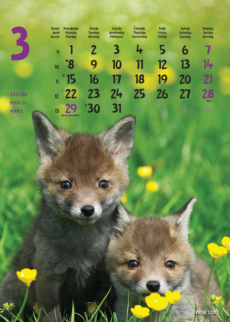 Promotivni zidni kalendar Životinje